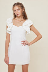 Make A Toast Puff Sleeve Mini Dress