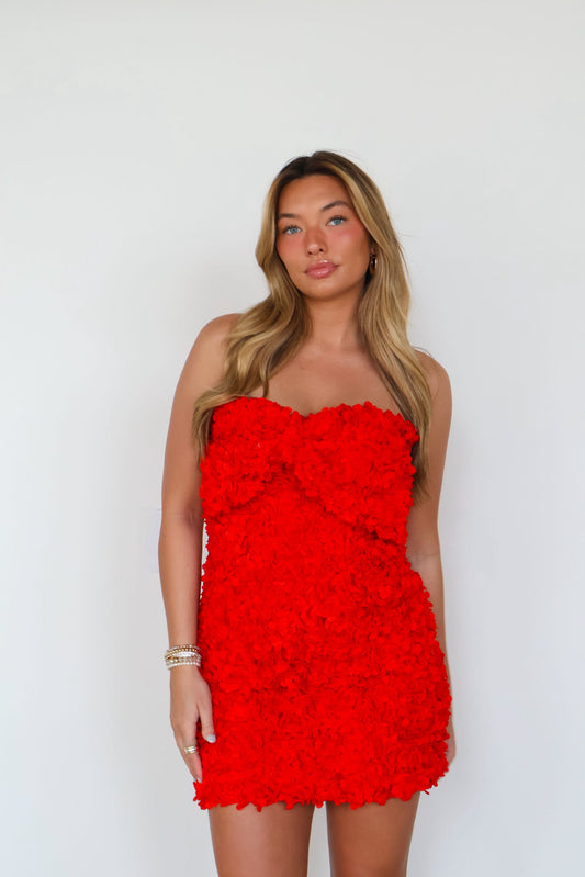 Rose Are Red Bow Dress